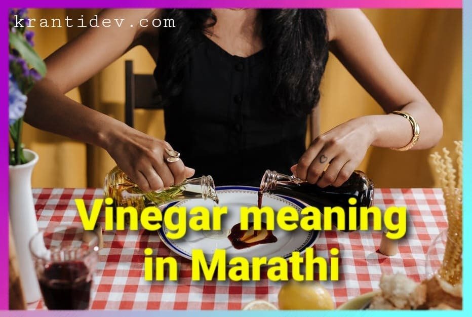 Vinegar meaning in Marathi