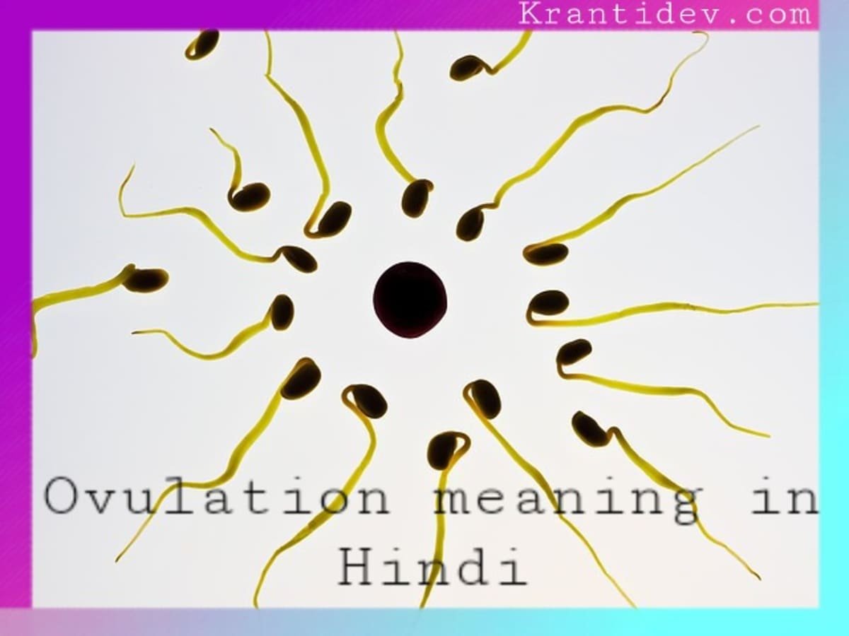 Hindi meaning of ovulation