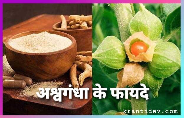 Ashwagandha benefits in hindi